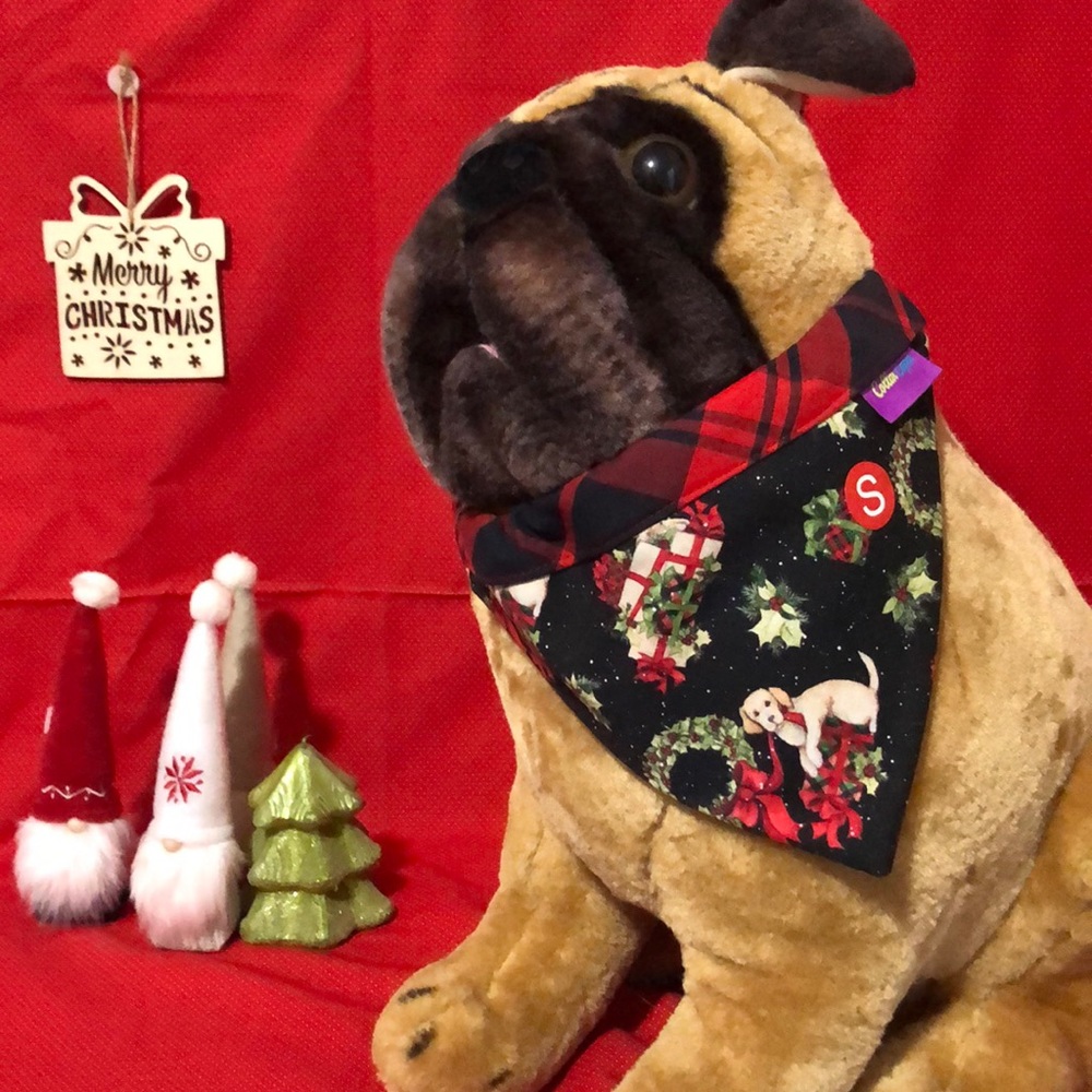 Pet bandanna
